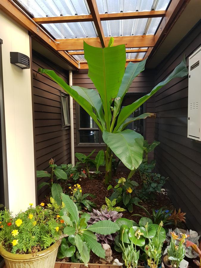 Heta Road B&B New Plymouth Ngoại thất bức ảnh