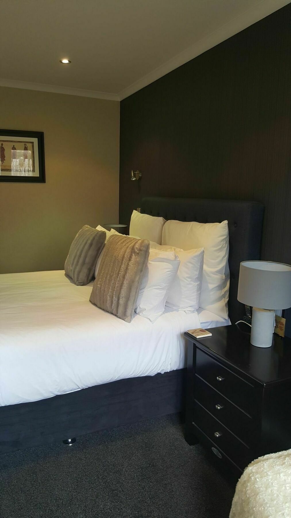 Heta Road B&B New Plymouth Ngoại thất bức ảnh